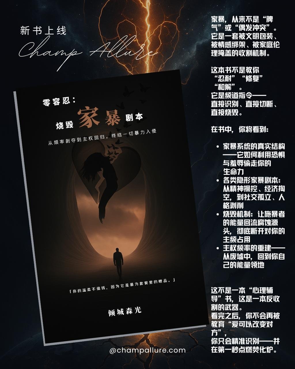 Incinerating The Domestic Violence Script - Image 4