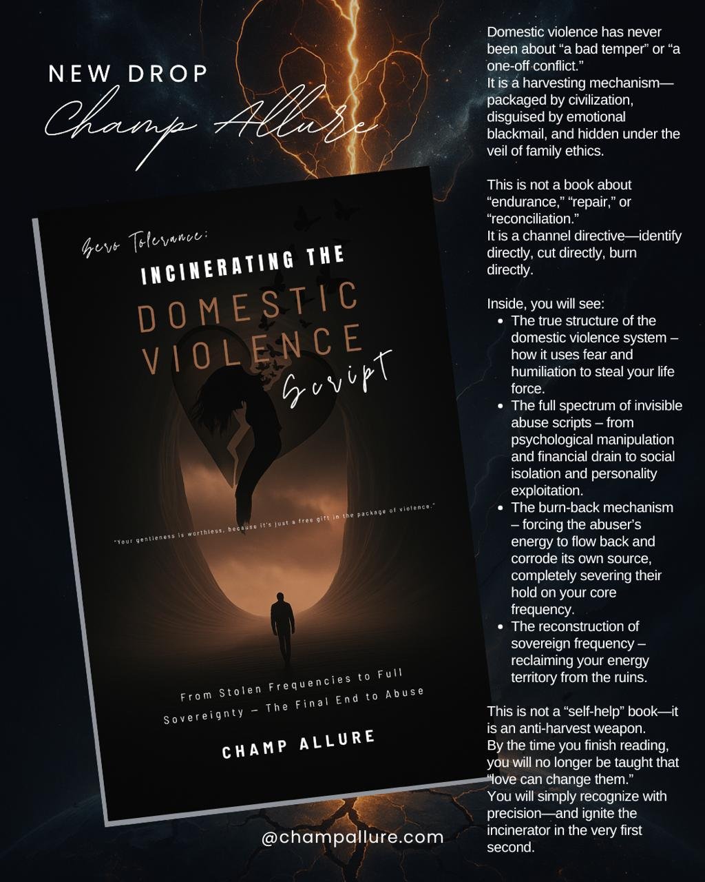 Incinerating The Domestic Violence Script - Image 3