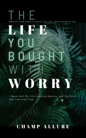 The Life You Bought With Worry