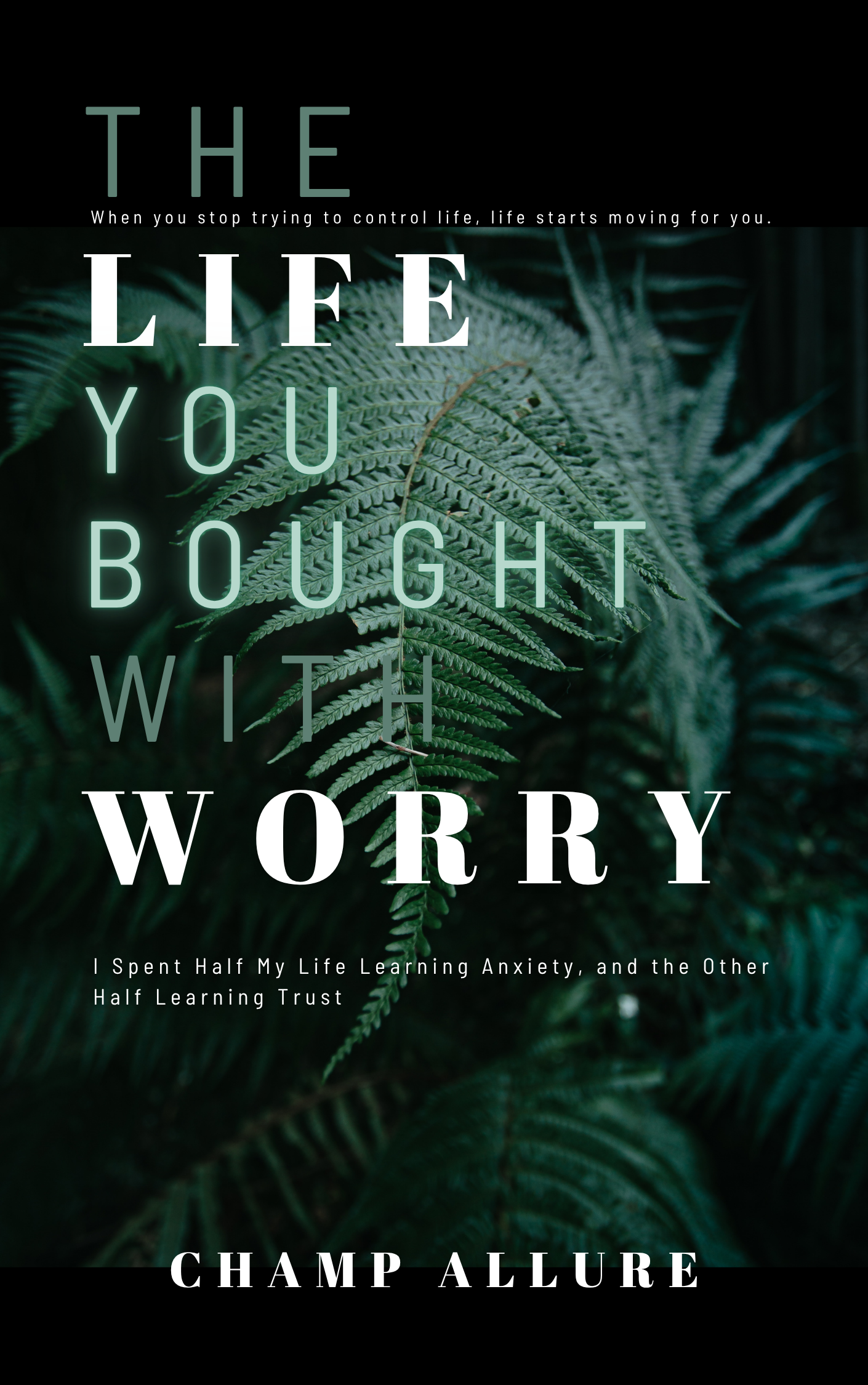 The Life You Bought With Worry