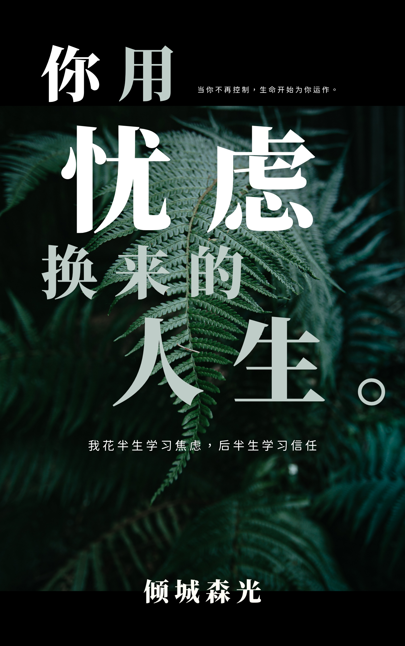 The Life You Bought With Worry - Image 2